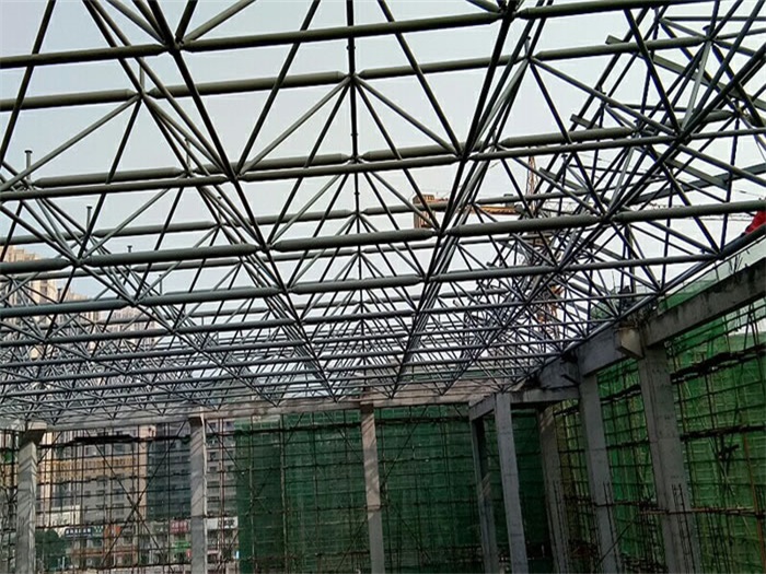 黑龙江光谷第十一小学网架
